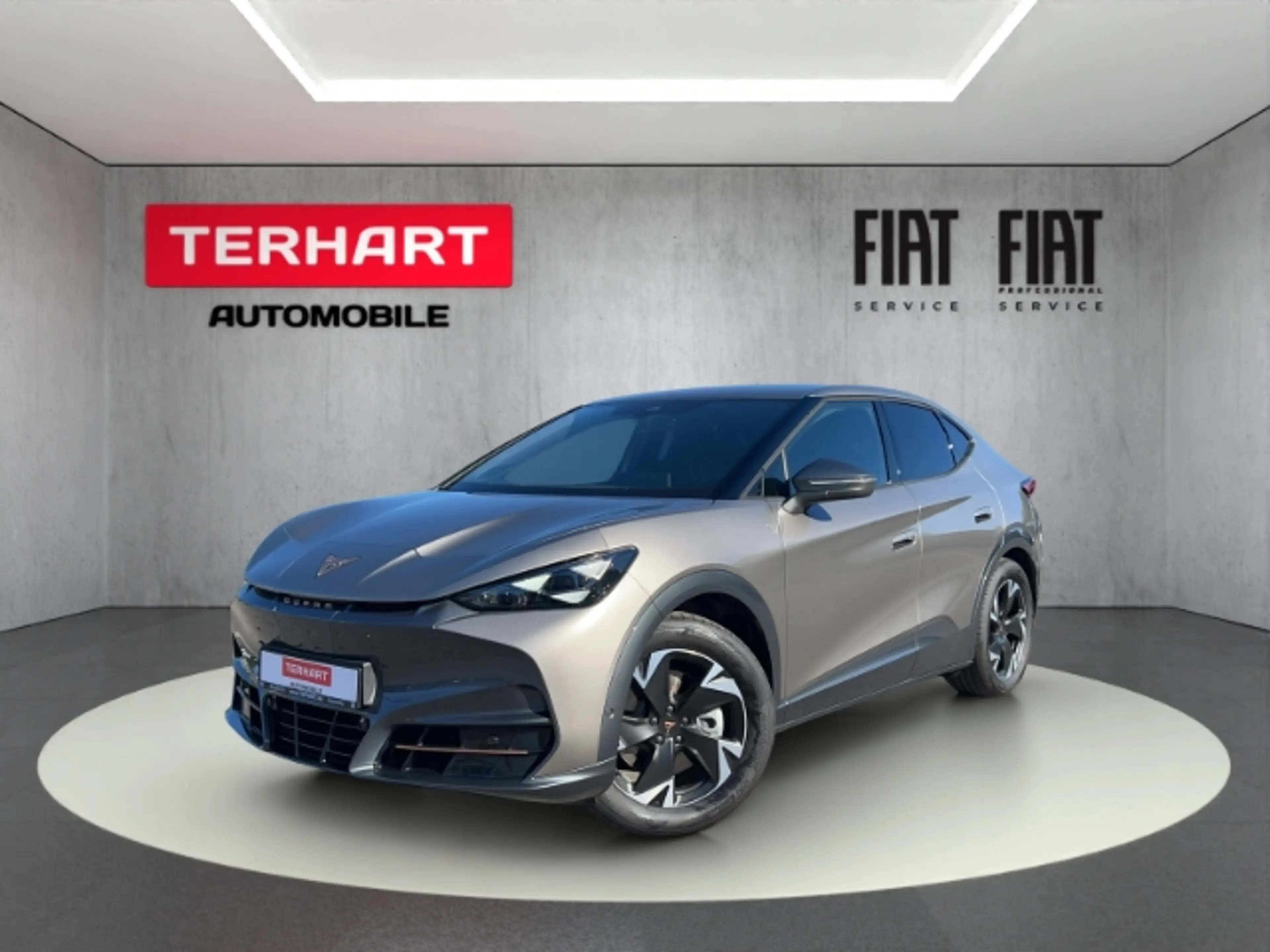 CUPRA Tavascan Endurance/LED/ACC/RFK/Apple&Android/Shz.