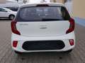 Kia Picanto Edition 7 Kamera Radio Klima 1.2 62 kW (84 PS) White - thumbnail 6