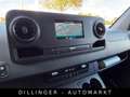 Mercedes-Benz Sprinter 311/314 CDI VA L2H1 KLIMA Kamera AHK Grün - thumbnail 21