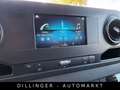 Mercedes-Benz Sprinter 311/314 CDI VA L2H1 KLIMA Kamera AHK Grün - thumbnail 16