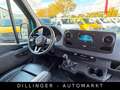 Mercedes-Benz Sprinter 311/314 CDI VA L2H1 KLIMA Kamera AHK Grün - thumbnail 7