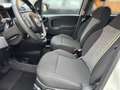 Fiat New Panda Cross Waze 1.2 Klima 1 Hand Weiß - thumbnail 18