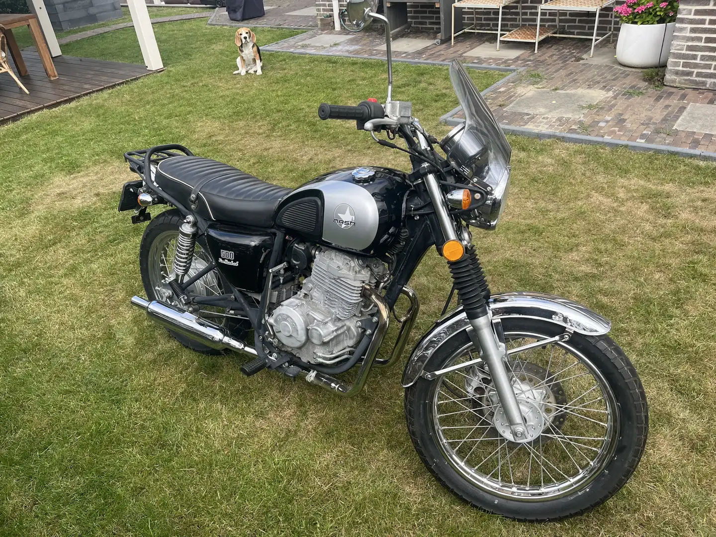 Mash Five Hundred 400 Zwart - 1