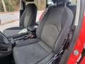 SEAT Leon ST Executive 2,0 TDI CR 4Drive Schwarz - thumbnail 13