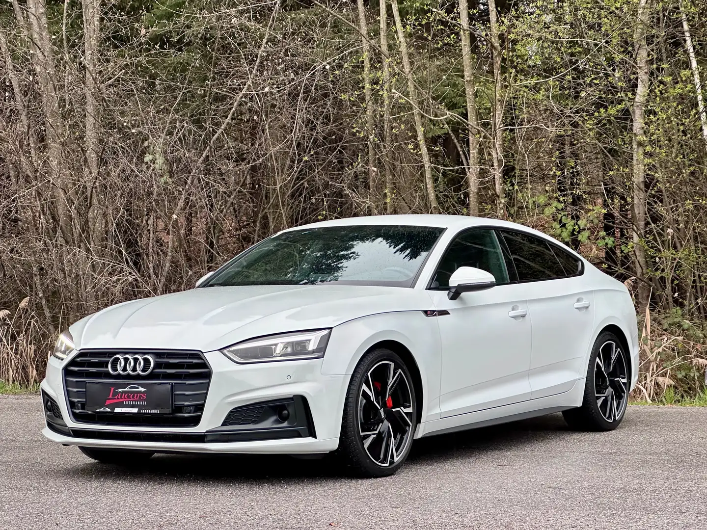 Audi A5 sport 3 x S-Line 2,0 TDI LEDER*LED*NAVI*DIGITAL T* Weiß - 1