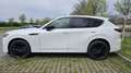Mazda CX-60 CX-60 3.3L e-SKYACTIV D AWD HOMURA PLUS Aut. Homura Plus Weiß - thumbnail 3