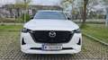 Mazda CX-60 CX-60 3.3L e-SKYACTIV D AWD HOMURA PLUS Aut. Homura Plus Weiß - thumbnail 1