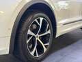SEAT Tarraco FR 4Drive LED/PANO/AHK/STHZ/360° Weiß - thumbnail 17