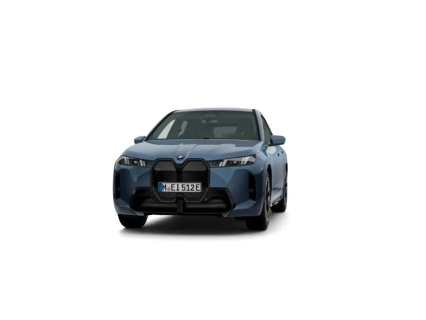BMW iX xDrive 60 Blauw - 1