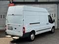 Ford Transit Kasten FT 350 L Trend LKW Blanc - thumbnail 6