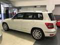 Mercedes-Benz GLK 220 GLK - X204 cdi be Premium 4matic auto my11 - thumbnail 9