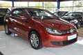Volkswagen Golf VI Cabriolet Basis AUTOMATIK / Bi-XENON Rot - thumbnail 2