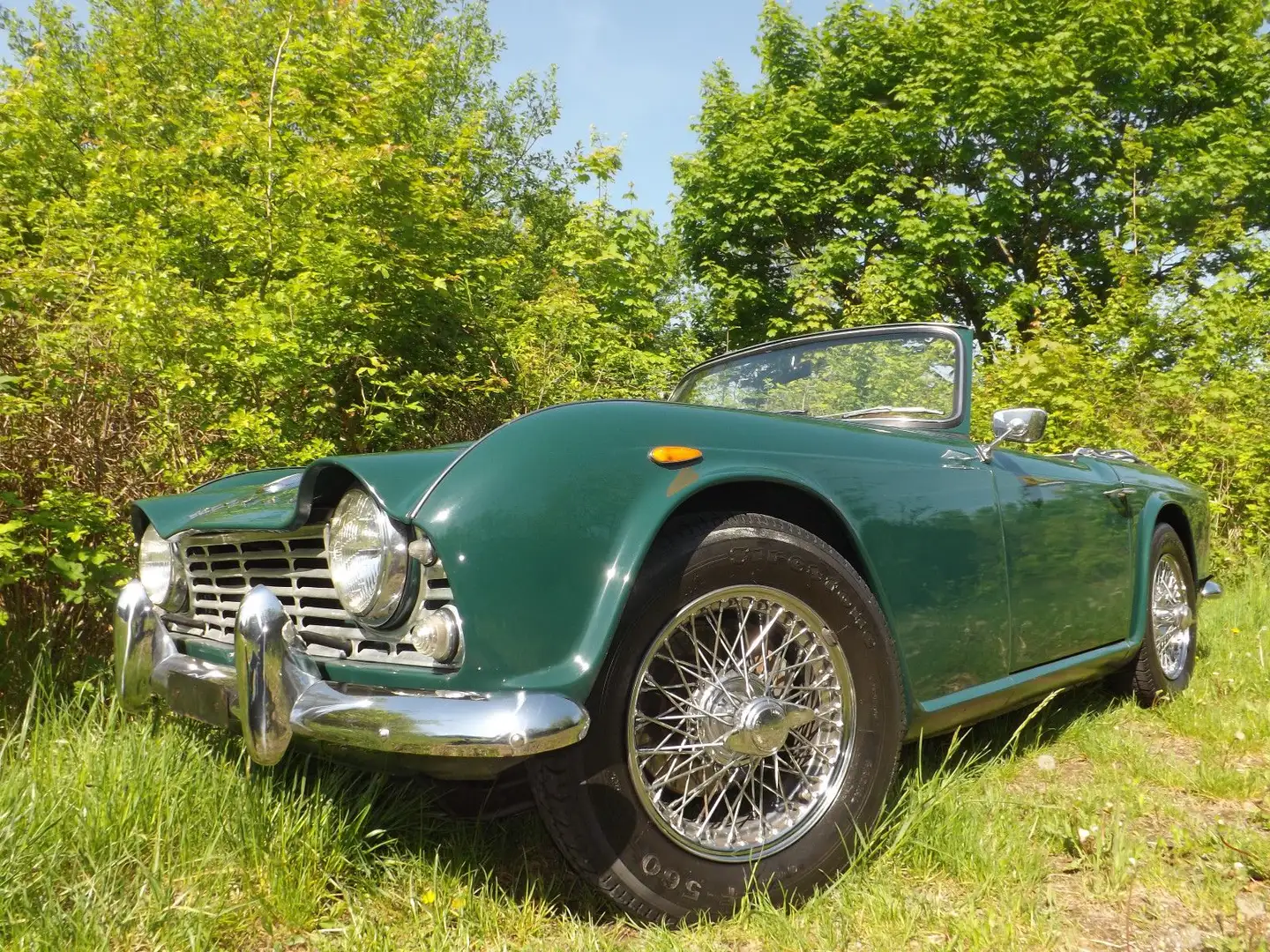 Triumph TR4 - Sondermodell von Ducati! Einzelstück!! Zielony - 1