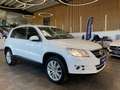 Volkswagen Tiguan Team 4Motion *Parkassistent*Navi*Kamera* Weiß - thumbnail 24