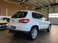Volkswagen Tiguan Team 4Motion *Parkassistent*Navi*Kamera* Weiß - thumbnail 5
