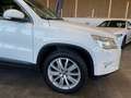 Volkswagen Tiguan Team 4Motion *Parkassistent*Navi*Kamera* Weiß - thumbnail 17