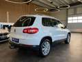 Volkswagen Tiguan Team 4Motion *Parkassistent*Navi*Kamera* Weiß - thumbnail 26