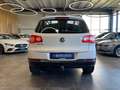 Volkswagen Tiguan Team 4Motion *Parkassistent*Navi*Kamera* Weiß - thumbnail 28