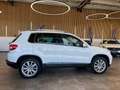 Volkswagen Tiguan Team 4Motion *Parkassistent*Navi*Kamera* Weiß - thumbnail 33