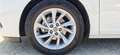 Opel Astra Edition Start/Stop*PICKERL/SERVICE NEU*ERSTBESITZ Weiß - thumbnail 11