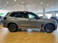 BMW X5 xDrive 40iA xLine Gris - thumbnail 7