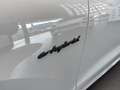 Porsche Cayenne E-Hybrid Black Edition Aut. Beige - thumbnail 17