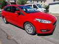 Ford Focus Trend/3Jahre Garantie inklsv/Tüv+Inspektio Rouge - thumbnail 3