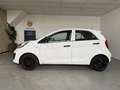 Kia Picanto 1.0 CVVT Black & White Airco, LMV Weiß - thumbnail 5