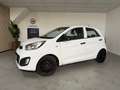 Kia Picanto 1.0 CVVT Black & White Airco, LMV Weiß - thumbnail 4