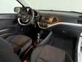 Kia Picanto 1.0 CVVT Black & White Airco, LMV Weiß - thumbnail 3