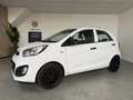 Kia Picanto 1.0 CVVT Black & White Airco, LMV Weiß - thumbnail 1