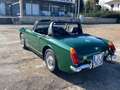 MG Midget MG MIDGET SPIDER Grün - thumbnail 12