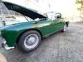 MG Midget MG MIDGET SPIDER Grün - thumbnail 21