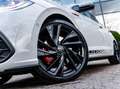 Volkswagen Polo GTI 2.0 TSI GTI|25 JAAR|PANO|ACC|BEATS|18'|LEDER Grau - thumbnail 14