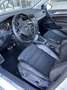 Volkswagen Golf Variant Golf Variant Alltrack BMT 2,0 TDI DSG 4Motion Alltrack Weiß - thumbnail 6
