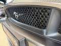 Ford Mustang Cabrio 2,3 -Wenig Km Grau - thumbnail 10