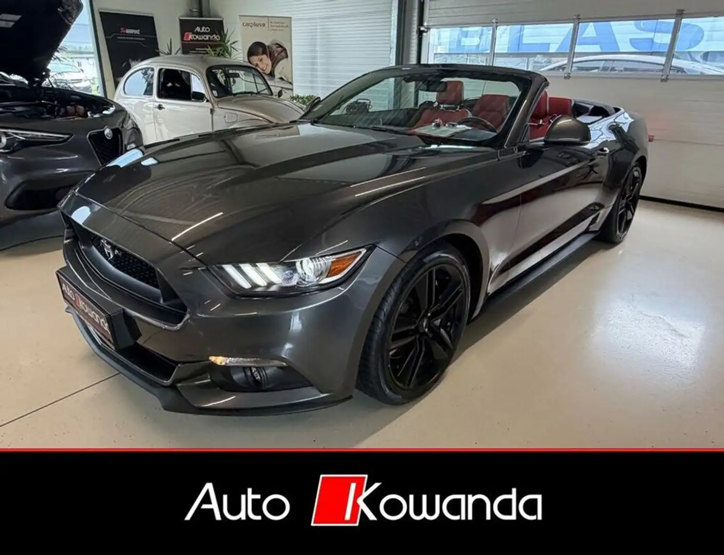 Ford Mustang Cabrio 2,3 -Wenig Km Grau - 1