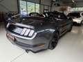 Ford Mustang Cabrio 2,3 -Wenig Km Grau - thumbnail 13