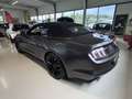 Ford Mustang Cabrio 2,3 -Wenig Km Grau - thumbnail 14