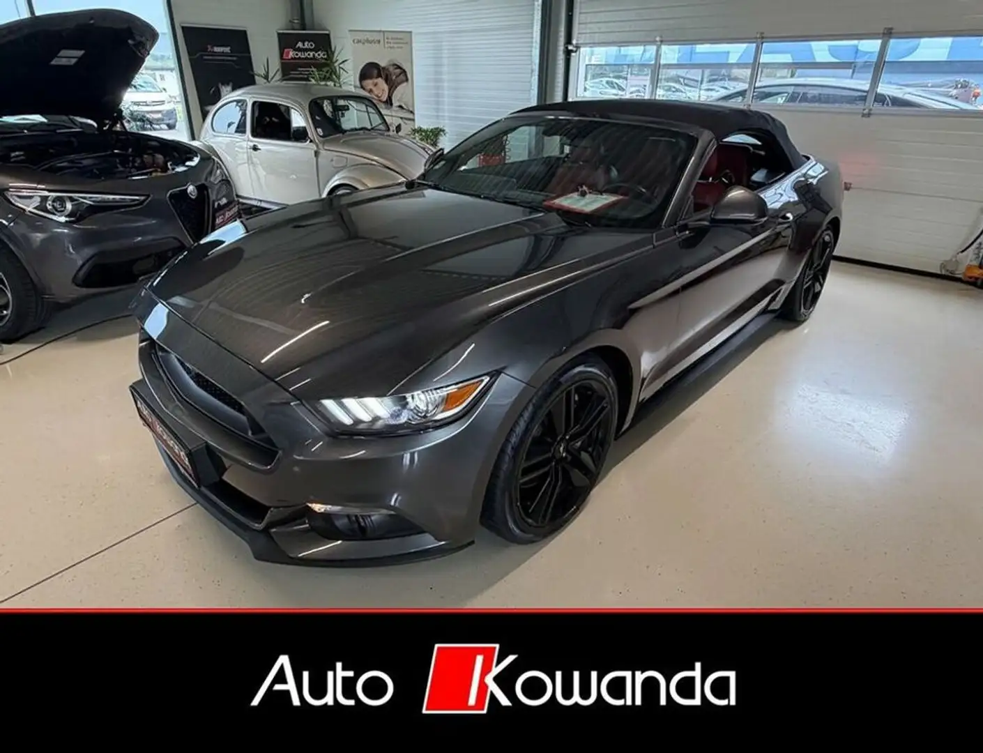 Ford Mustang Cabrio 2,3 -Wenig Km Grau - 2