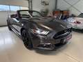 Ford Mustang Cabrio 2,3 -Wenig Km Grau - thumbnail 6