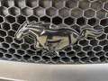 Ford Mustang Cabrio 2,3 -Wenig Km Grau - thumbnail 12