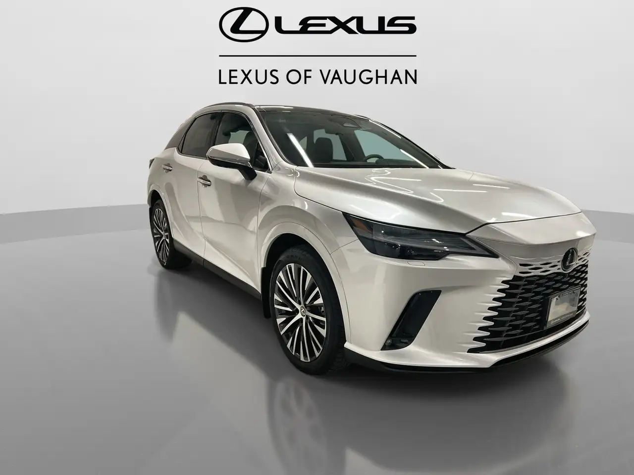 Lexus RX снимка Lexus RX