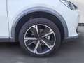 CUPRA Formentor 1.5 TSI Blanc - thumbnail 12