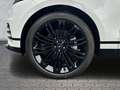Land Rover Range Rover Velar D300 Dyn. HSE Head-Up AHK Pano Weiß - thumbnail 9