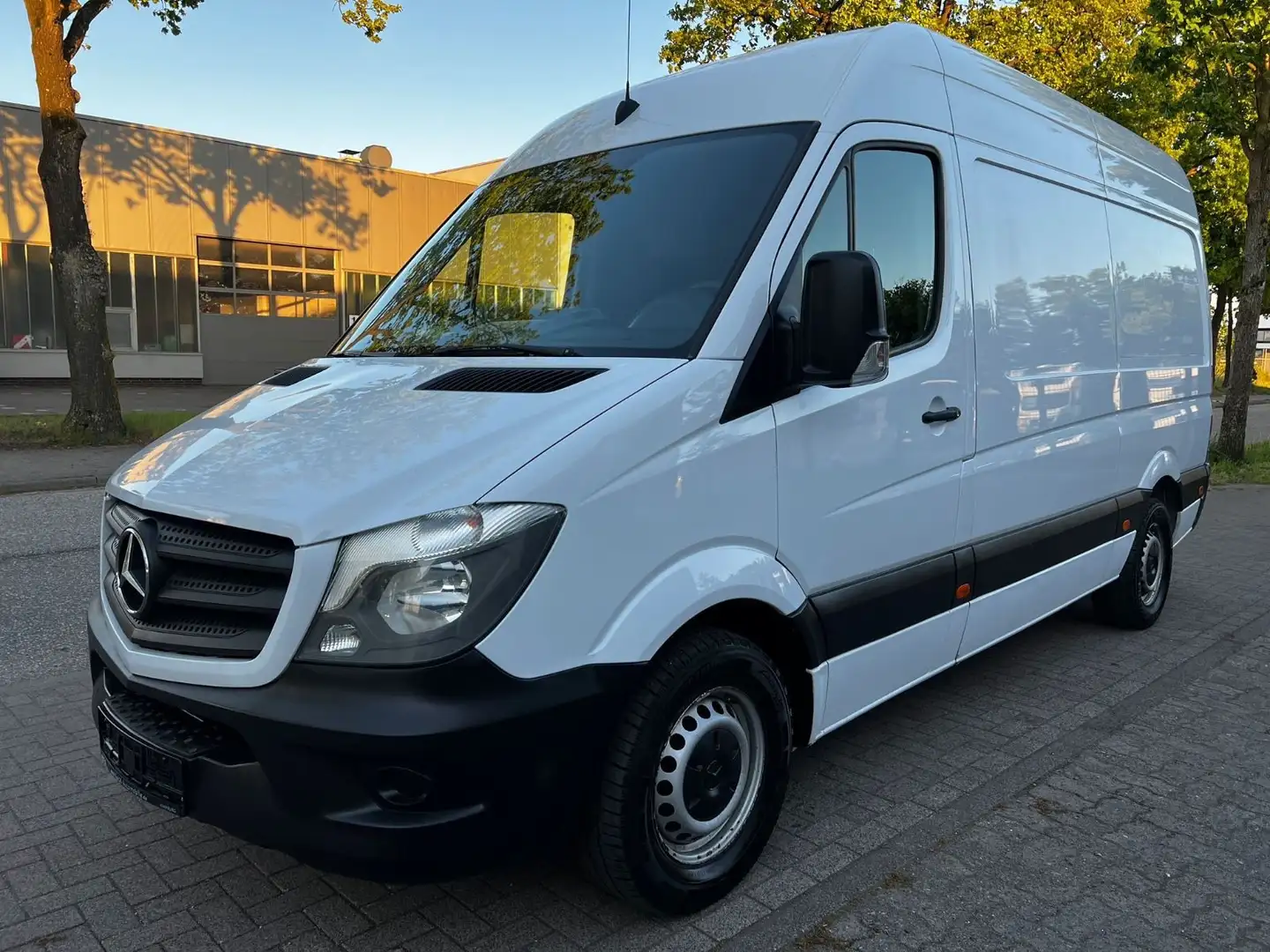 Mercedes-Benz Sprinter 313 CDi Kasten H+Lang Euro5 1.Hand+ Bianco - 1