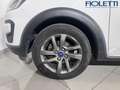Ford Ka/Ka+ 1.5 TDCI 95 CV START&STOP ACTIVE Bianco - thumbnail 12