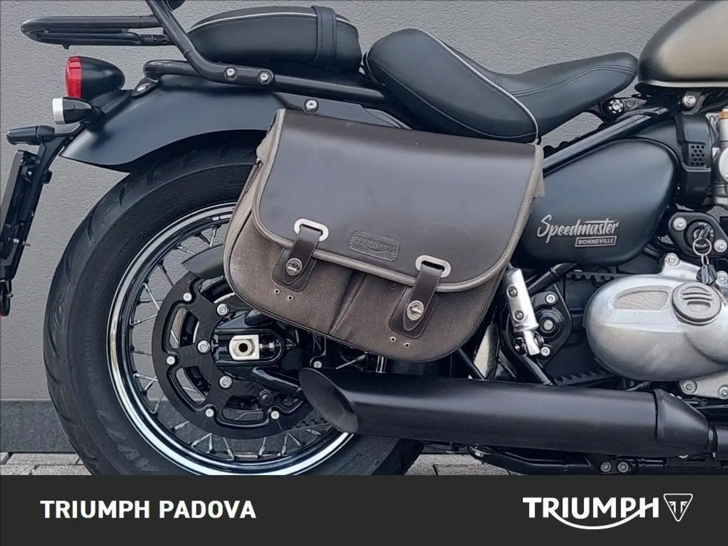 Triumph Speedmaster 1200 Grigio - 2