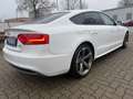 Audi A5 Sportback 2.0 TDI AUT. quattro*S-LINE*ACC*AHK Weiß - thumbnail 10