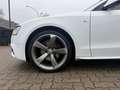 Audi A5 Sportback 2.0 TDI AUT. quattro*S-LINE*ACC*AHK Weiß - thumbnail 8